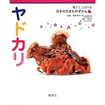 61blaUUS+dL._AC_UL210_SR210,